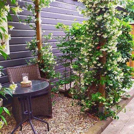 Beach Holiday Appartements דירה *