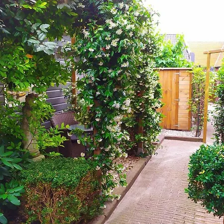 Daire Beach Holiday Appartements Dirkshorn